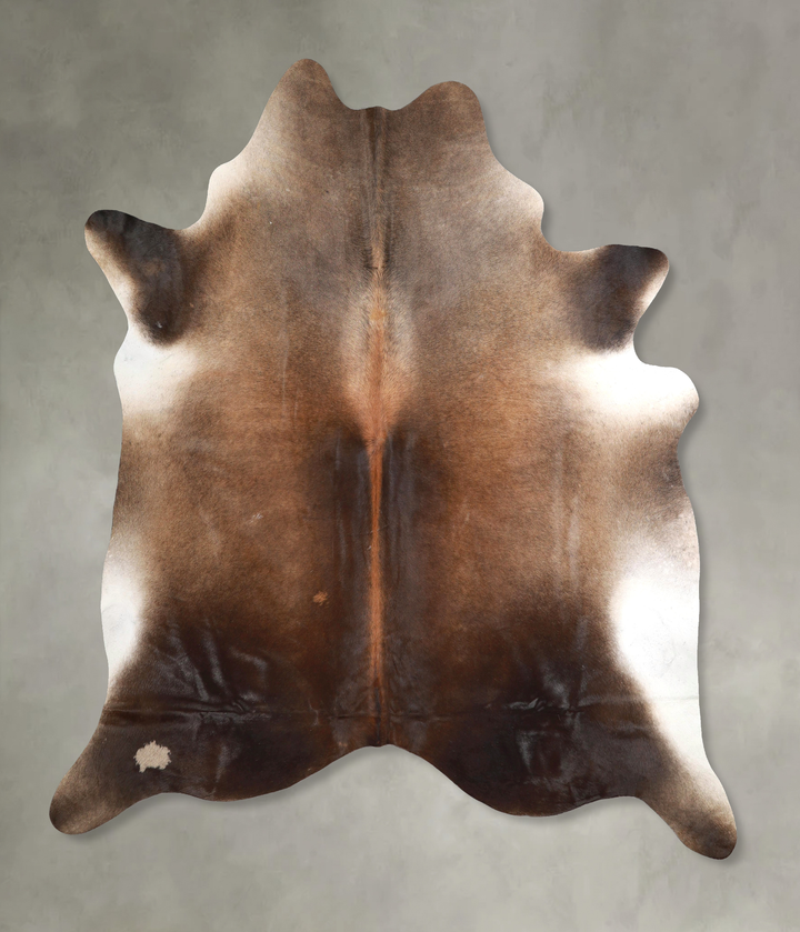 Chocolate XX-Large Brazilian Cowhide Rug 7'7"H x 6'10"W #A48921 by Hudson Hides