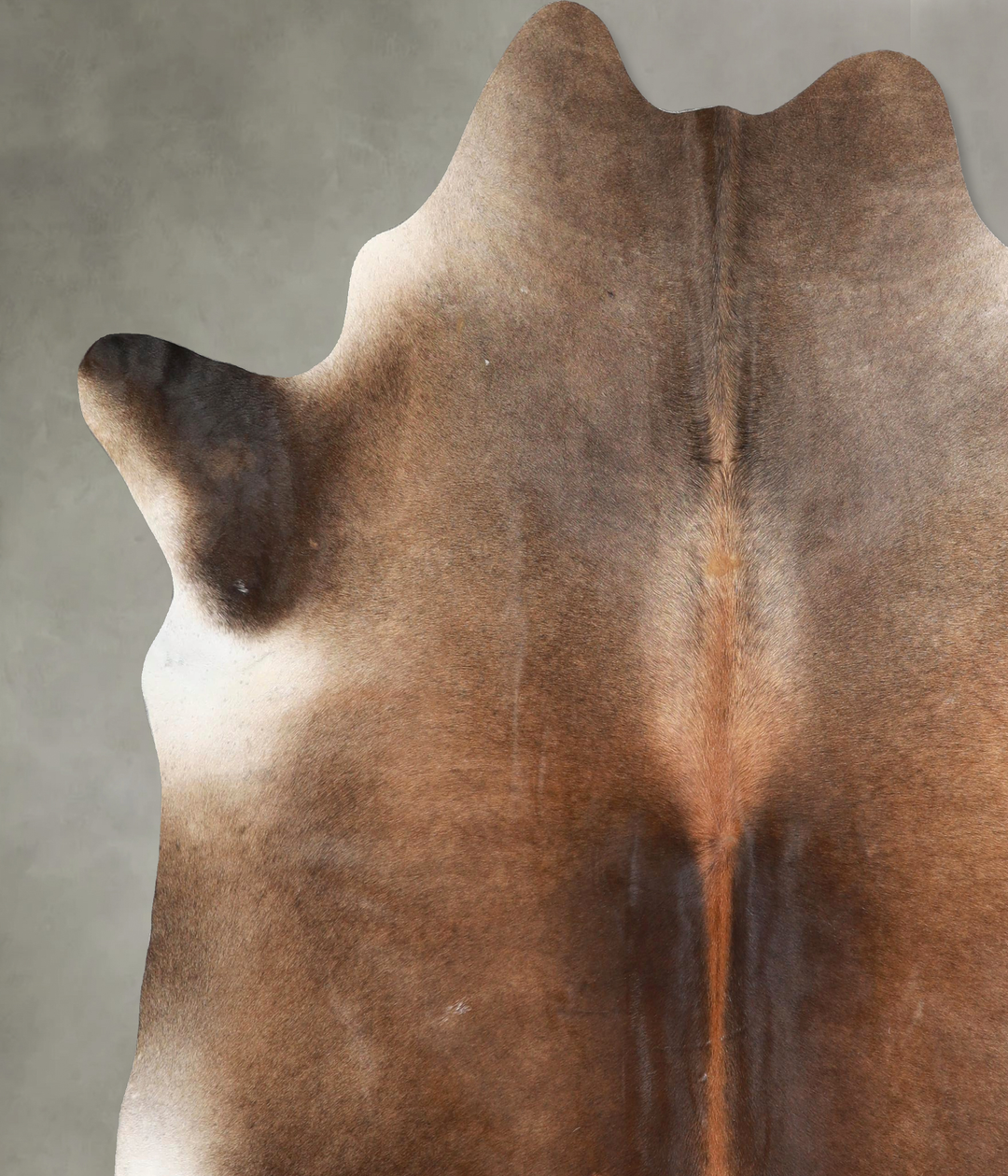 Chocolate XX-Large Brazilian Cowhide Rug 7'7"H x 6'10"W #A48921 by Hud