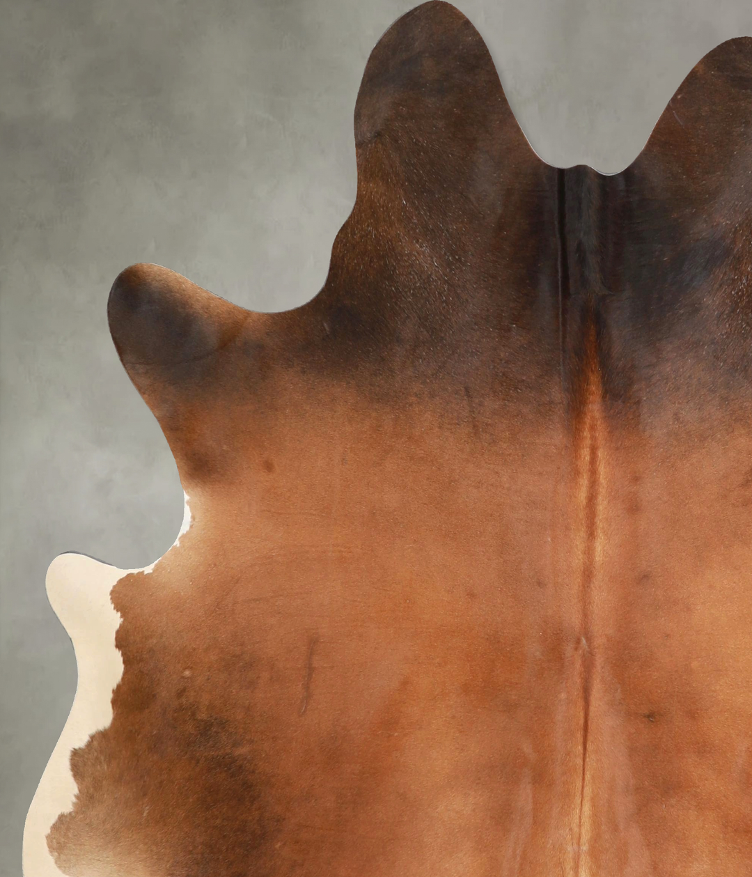 Warm Caramel X-Large Brazilian Cowhide Rug 6'10"H x 6'2"W #A48925 by H