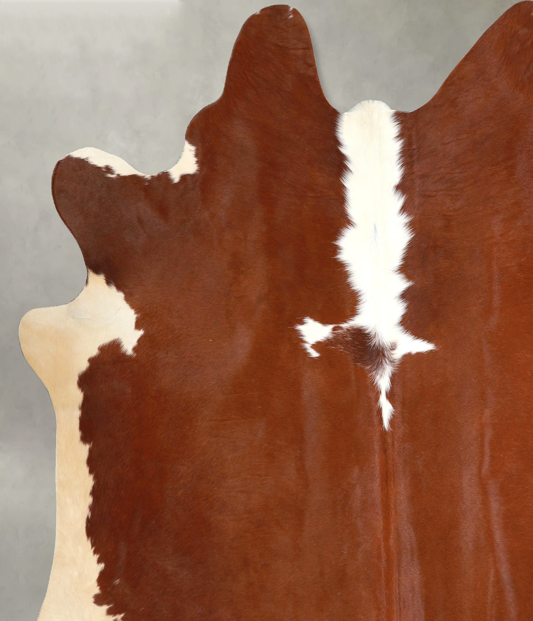 Hereford X-Large Brazilian Cowhide Rug 7'1"H x 6'11"W #A48932 by Hudso