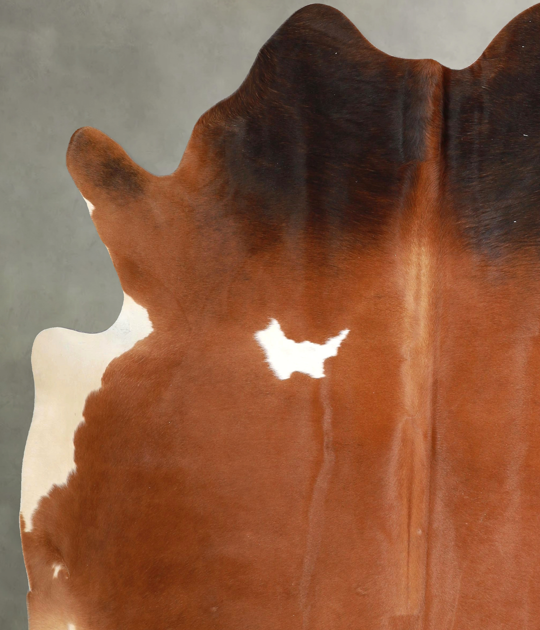 Warm Caramel X-Large Brazilian Cowhide Rug 7'6"H x 6'3"W #A48934 by Hu