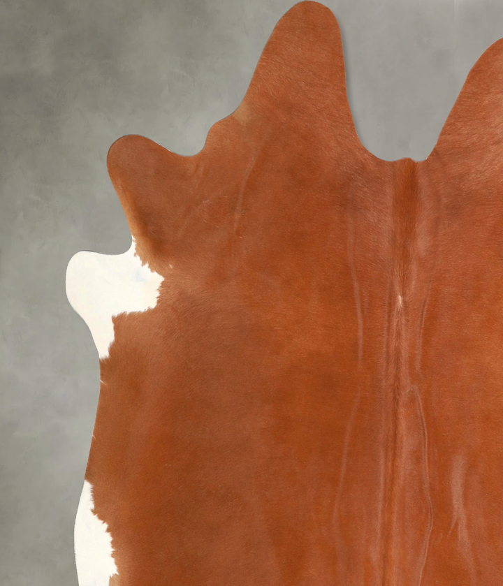 Solid Brown X-Large Brazilian Cowhide Rug 7'1"H x 6'9"W #A48935 by Hudson Hides