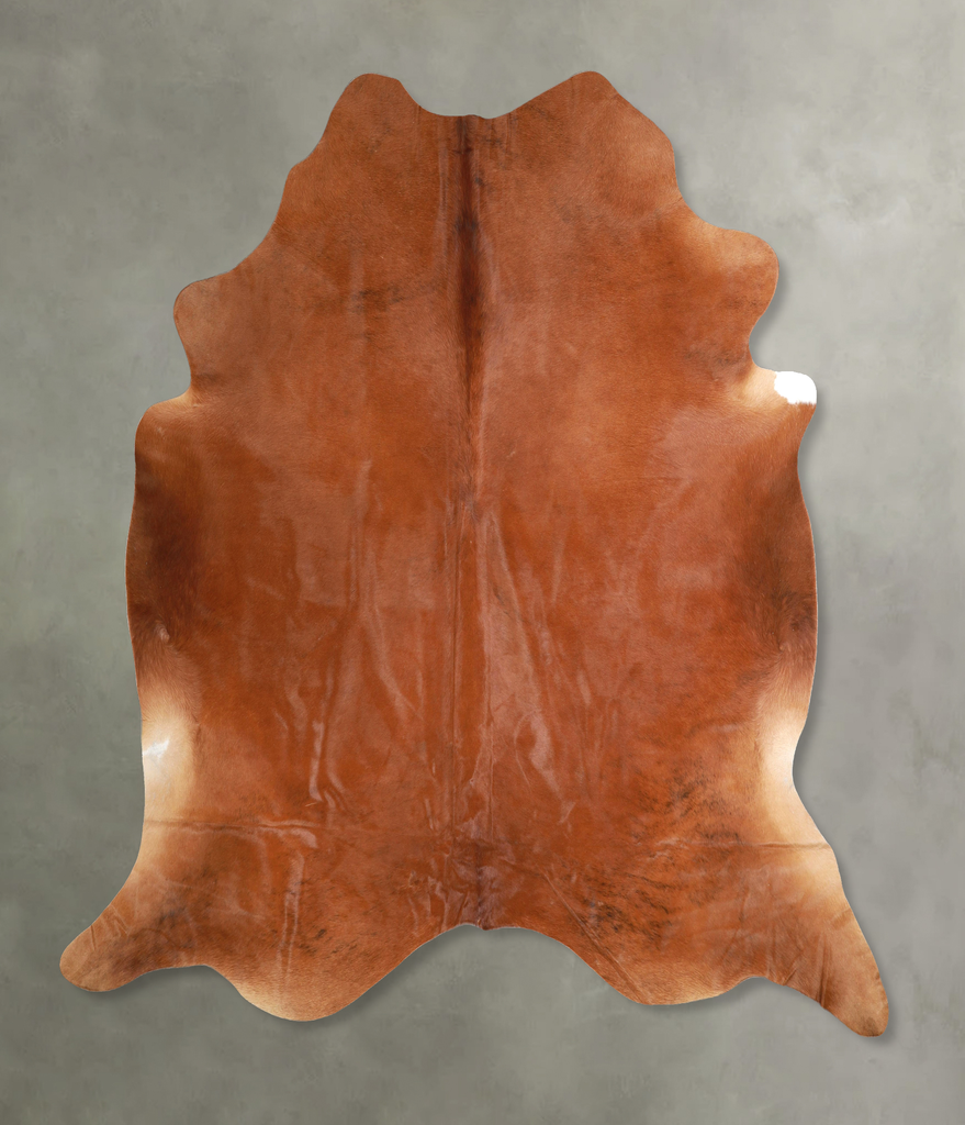 Solid Brown XX-Large Brazilian Cowhide Rug 7'8"H x 7'10"W #A48937 by Hudson Hides