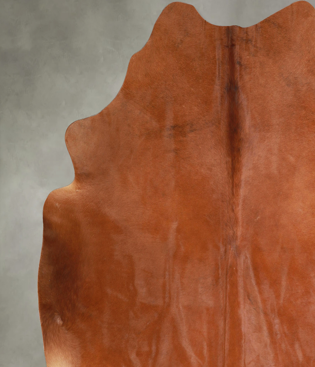 Solid Brown XX-Large Brazilian Cowhide Rug 7'8"H x 7'10"W #A48937 by H