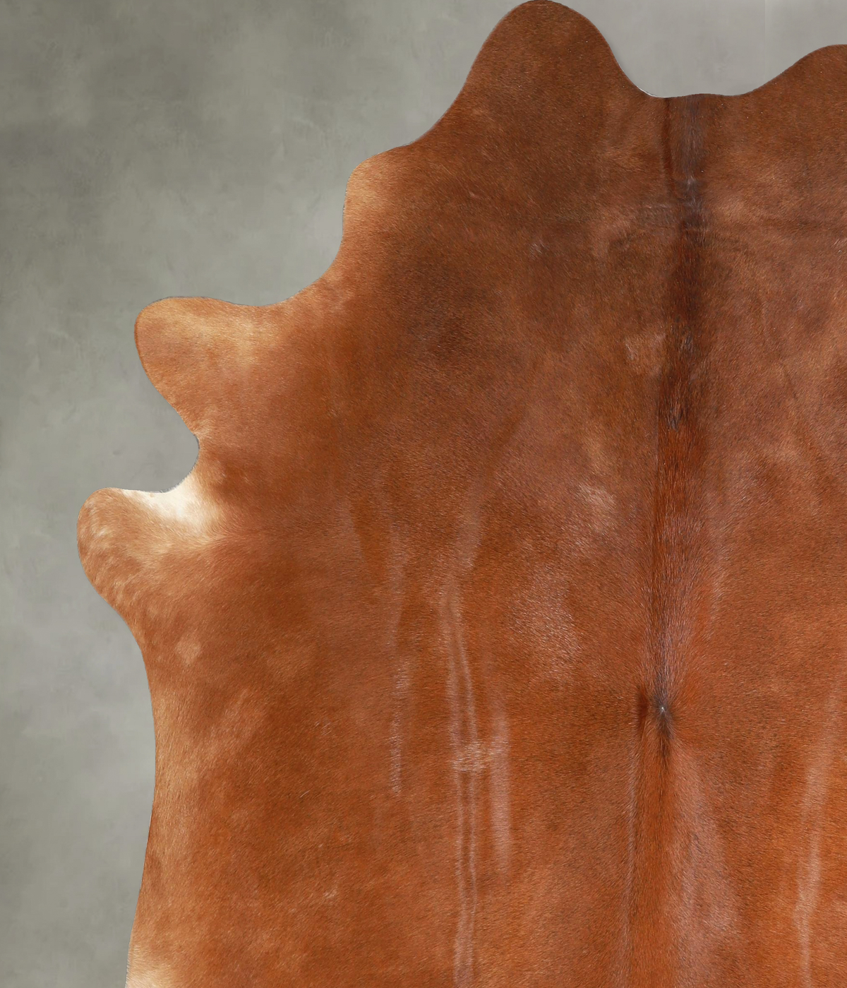 Solid Brown X-Large Brazilian Cowhide Rug 7'3"H x 6'3"W #A48940 by Hudson Hides