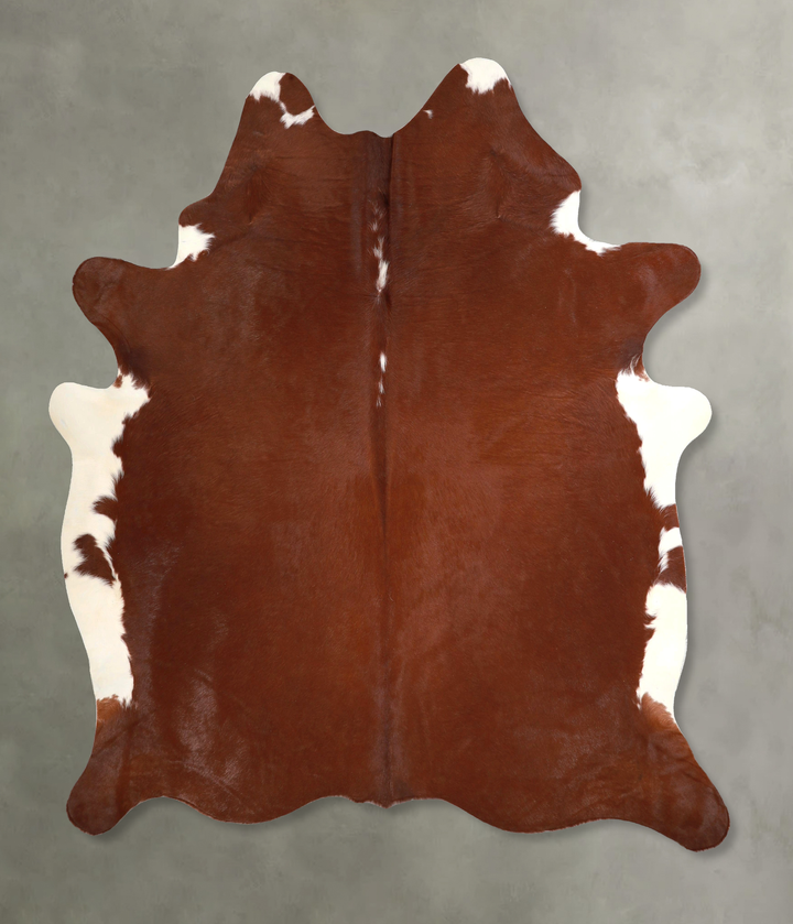 Brown and White Regular X-Large Brazilian Cowhide Rug 7'1"H x 6'2"W #A48949 by Hudson Hides