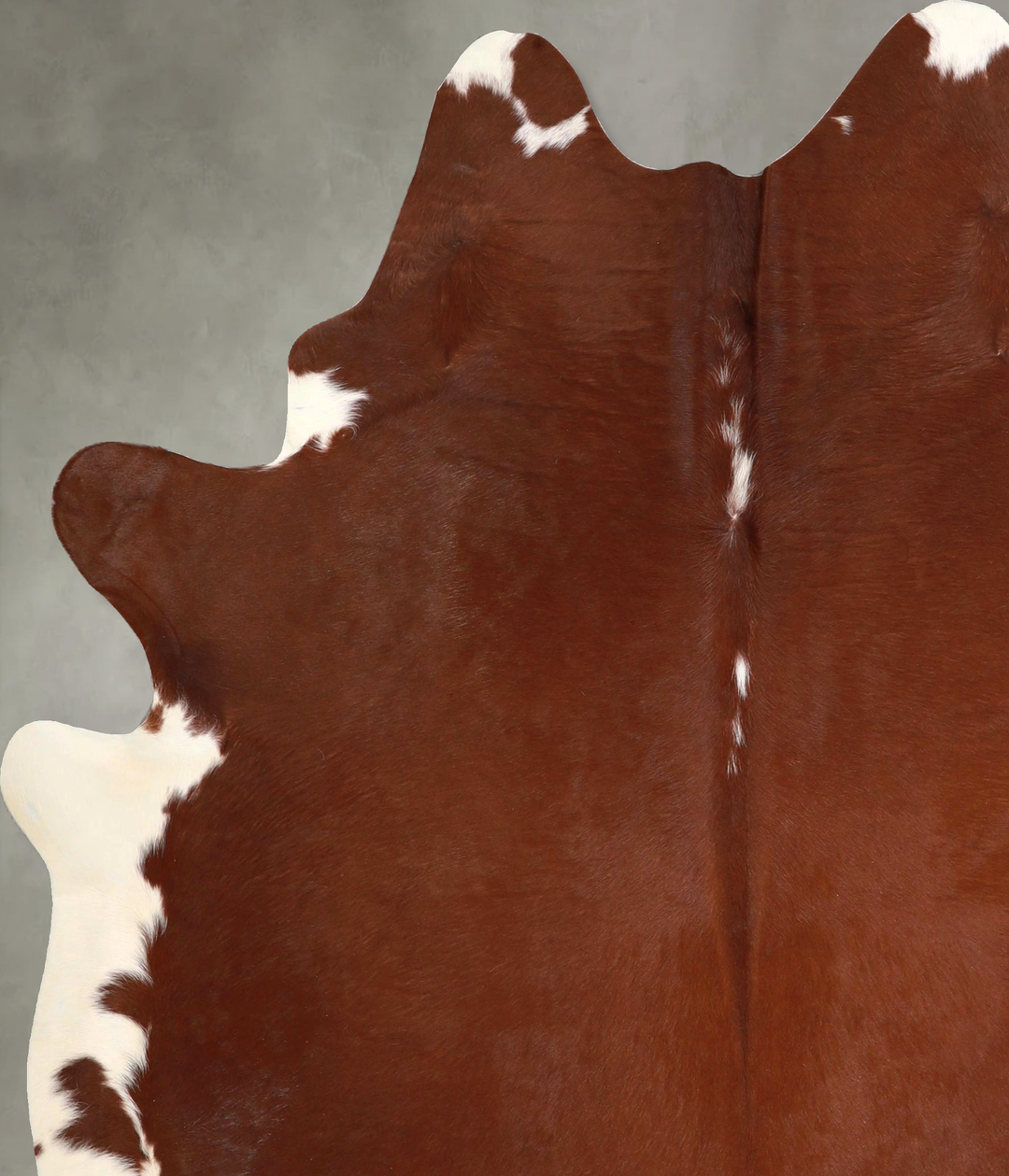 Brown and White Regular X-Large Brazilian Cowhide Rug 7'1"H x 6'2"W #A