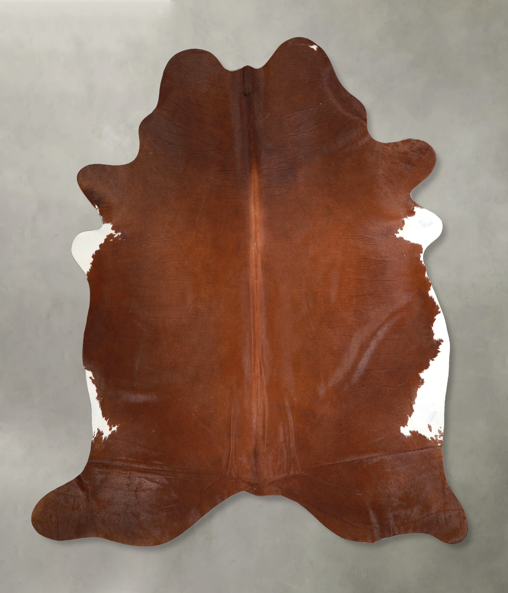 Brown and White Regular Cowhide Rug #A48951