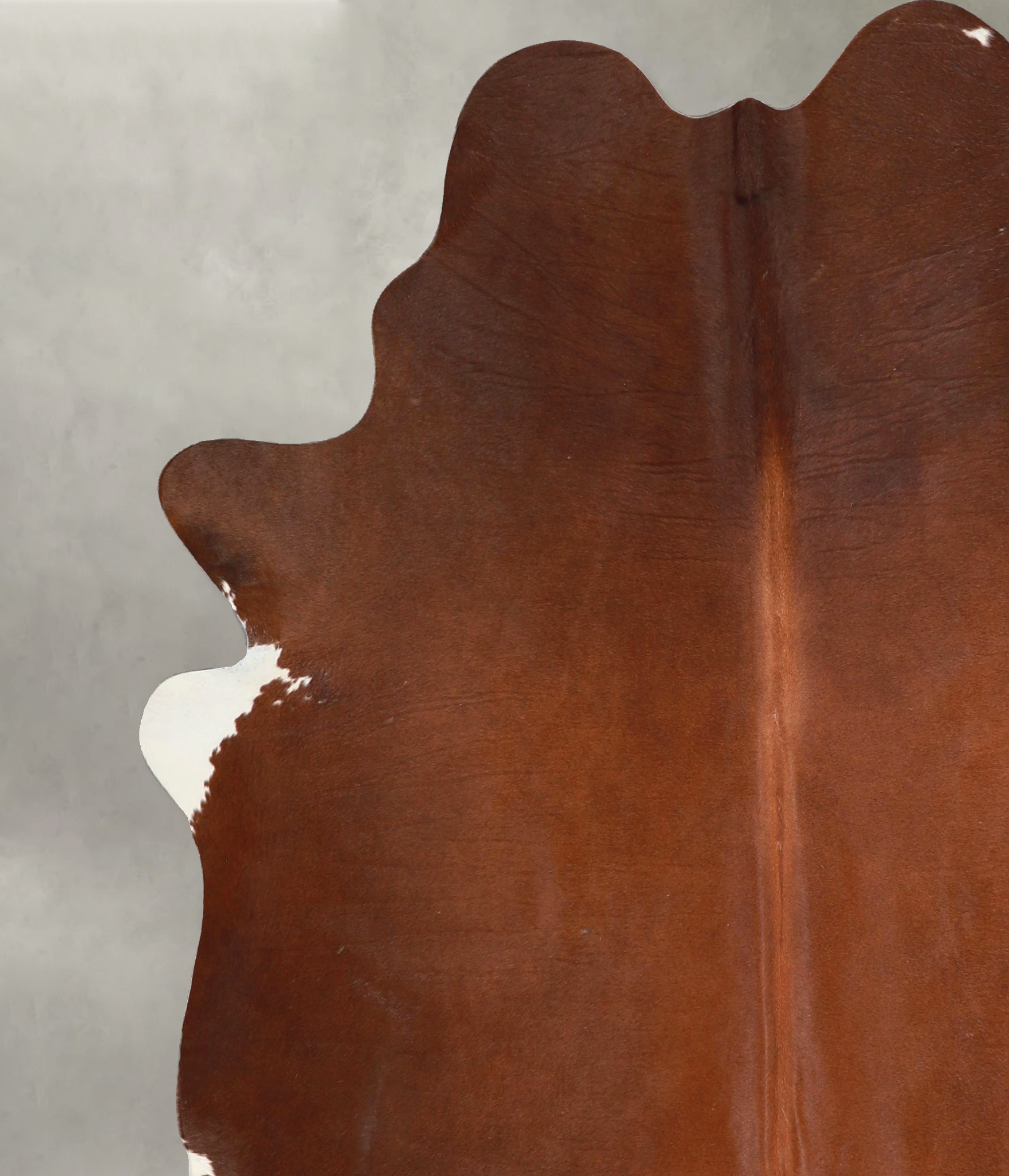 Brown and White Regular Cowhide Rug #A48951