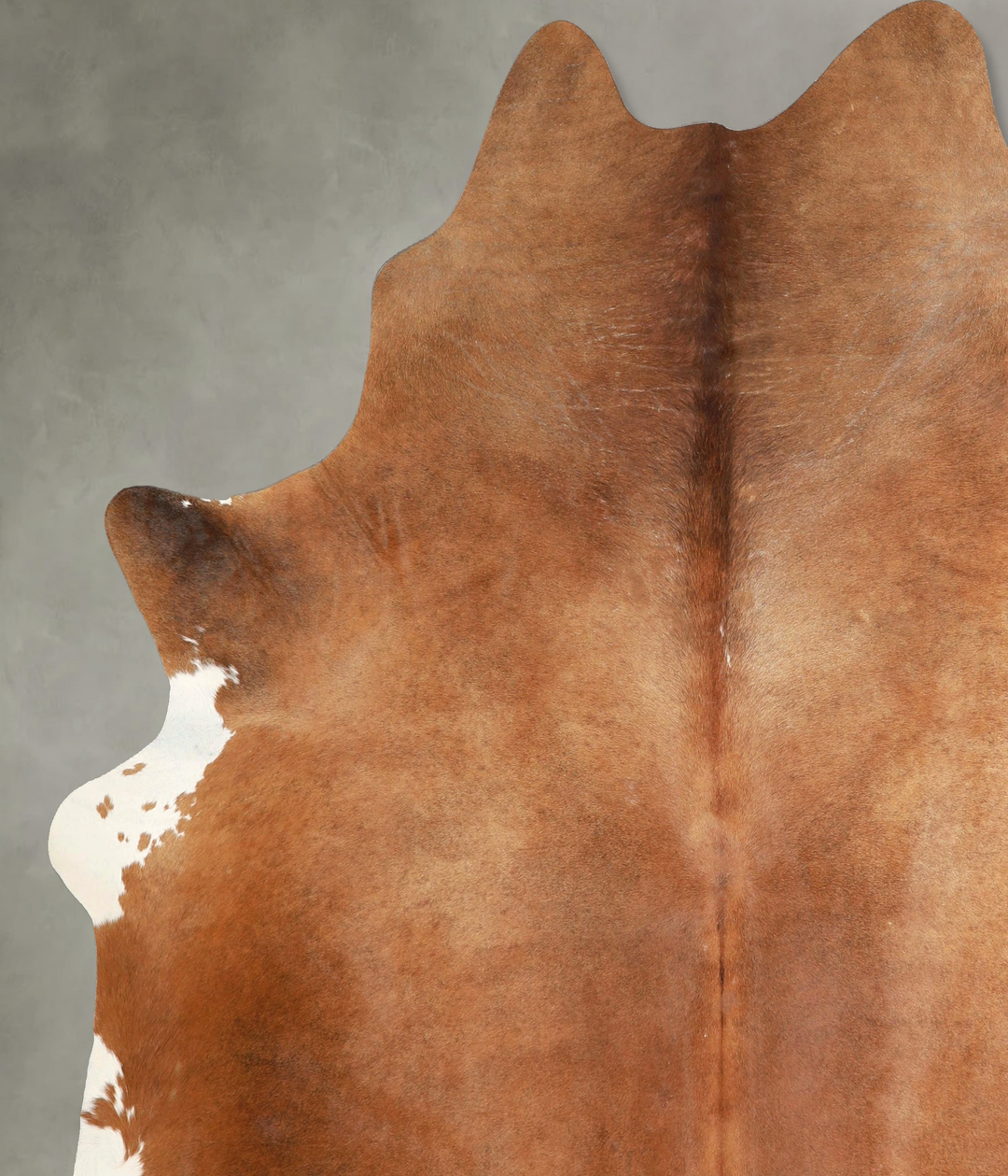 Light Caramel XX-Large Brazilian Cowhide Rug 8'1"H x 7'4"W #A48960 by 