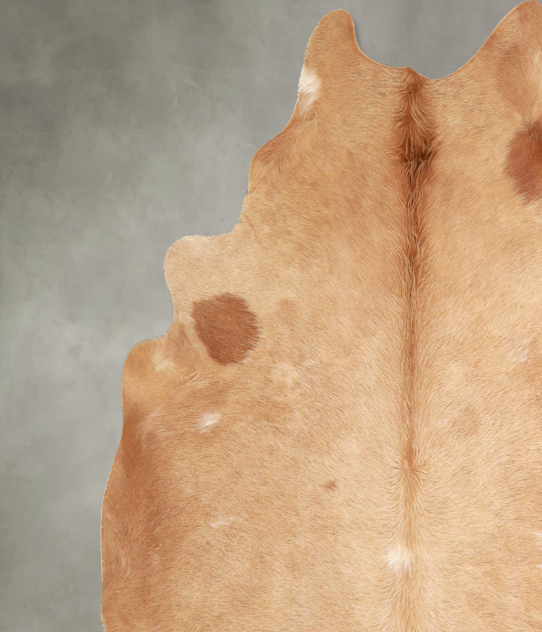 Beige XX-Large Brazilian Cowhide Rug 7'9"H x 7'10"W #A48966 by Hudson 