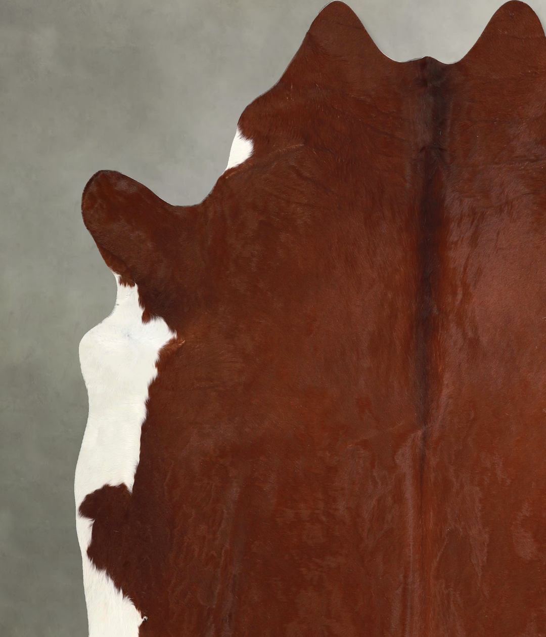 Brown and White Regular XX-Large Brazilian Cowhide Rug 7'4"H x 7'2"W #