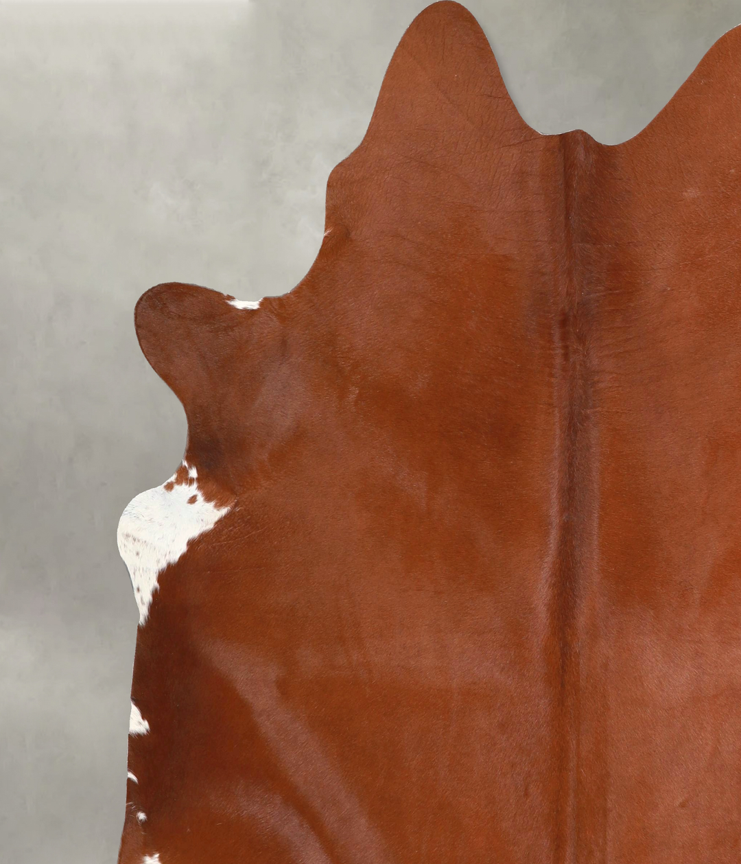 Solid Brown X-Large Brazilian Cowhide Rug 6'11"H x 6'4"W #A48973 by Hu