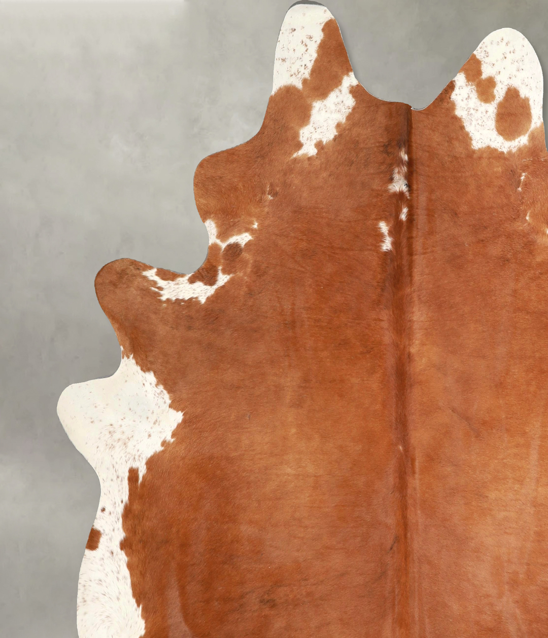 Brown and White Regular XX-Large Brazilian Cowhide Rug 7'10"H x 6'10"W