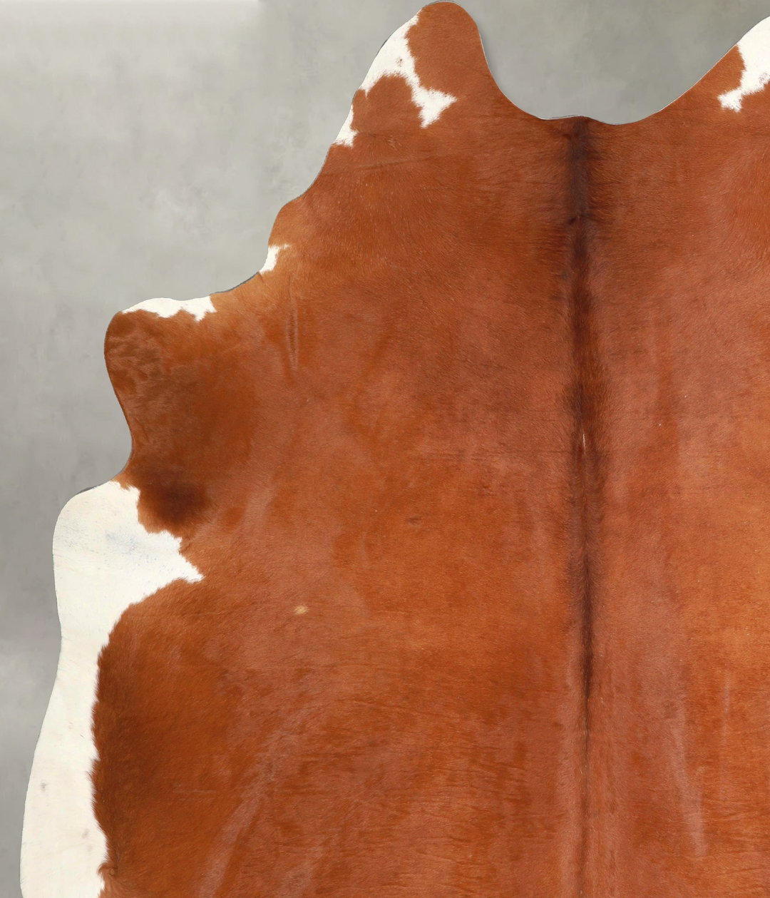 Solid Brown XX-Large Brazilian Cowhide Rug 8'6"H x 7'0"W #A48981 by Hu