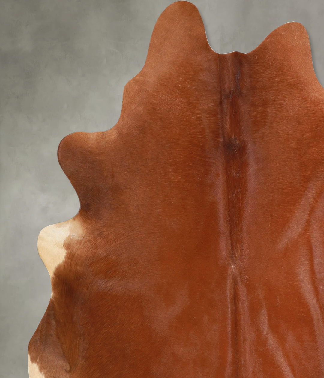 Solid Brown X-Large Brazilian Cowhide Rug 7'1"H x 6'8"W #A48982 by Hud