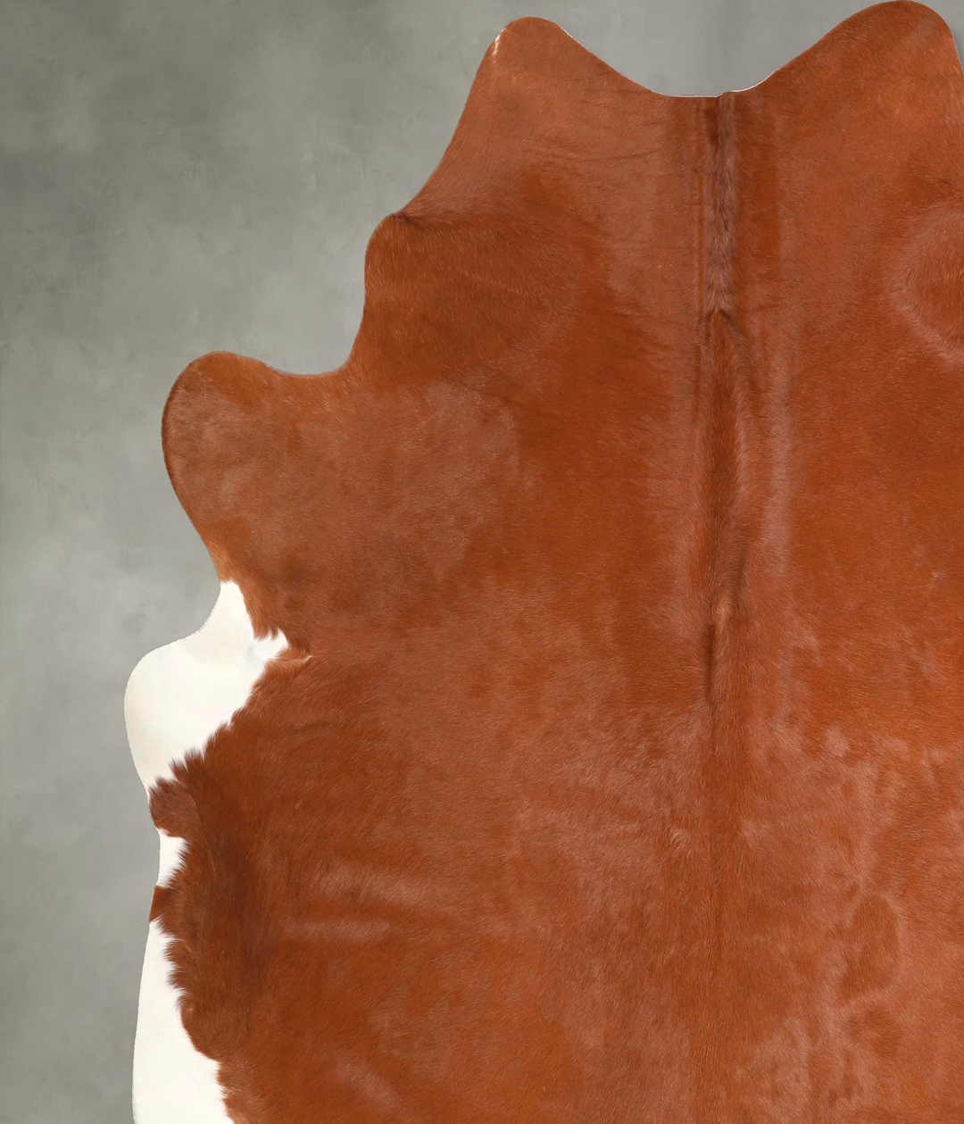 Solid Brown XX-Large Brazilian Cowhide Rug 7'7"H x 7'2"W #A48990 by Hu