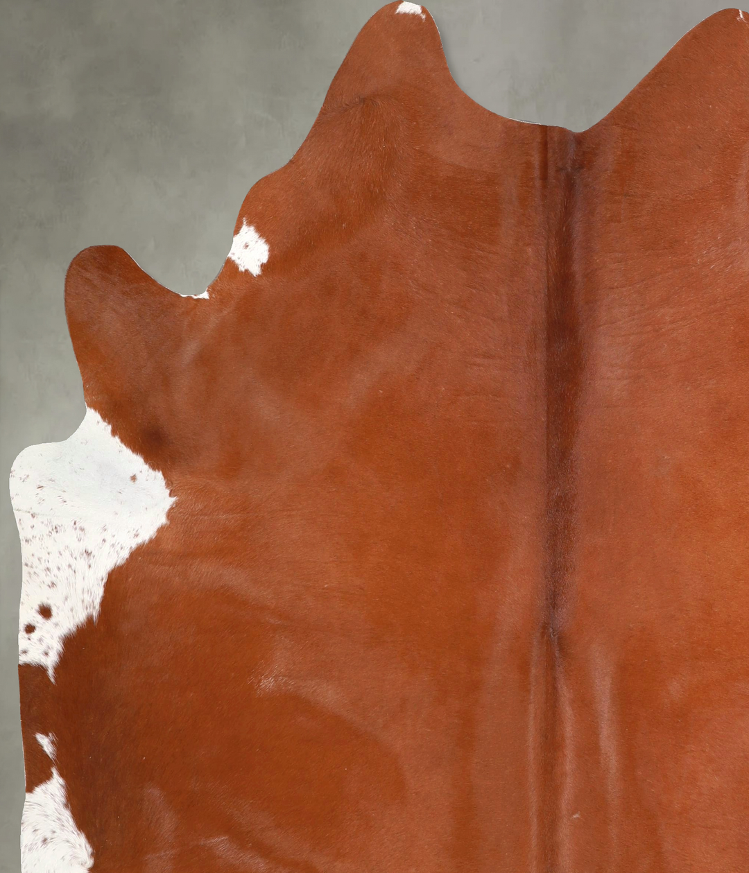 Brown and White Regular X-Large Brazilian Cowhide Rug 7'2"H x 6'3"W #A