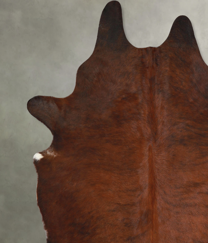 Medium Brindle XX-Large Brazilian Cowhide Rug 8'3"H x 7'0"W #A48992 by Hudson Hides