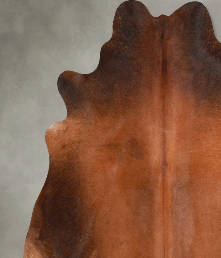 Warm Caramel XX-Large Brazilian Cowhide Rug 7'2"H x 7'1"W #A48998 by Hudson Hides