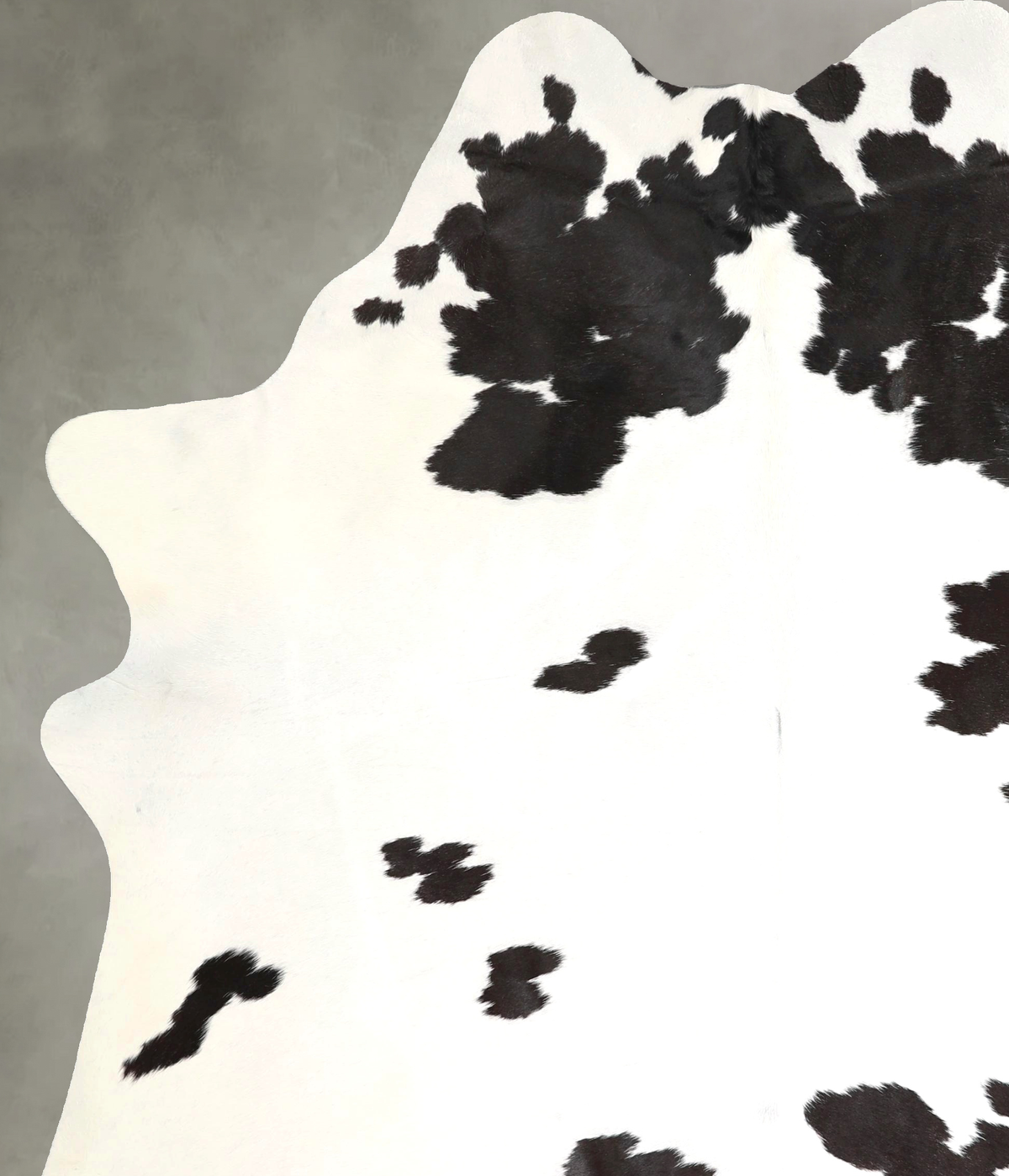 Black and White X-Large Brazilian Cowhide Rug 7'11"H x 6'0"W #A49001 by Hudson Hides