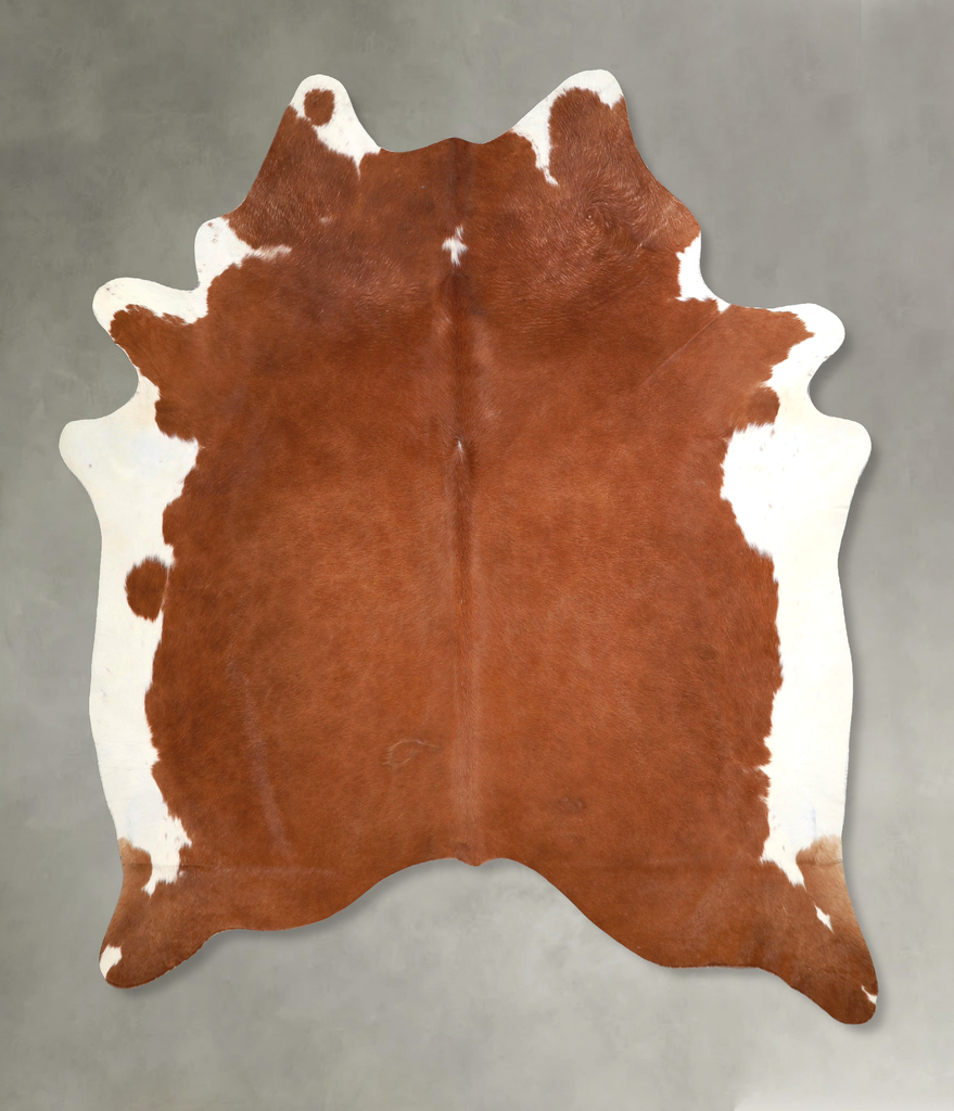 Brown and White Regular XX-Large Brazilian Cowhide Rug 7'7"H x 6'11"W #A49002 by Hudson Hides
