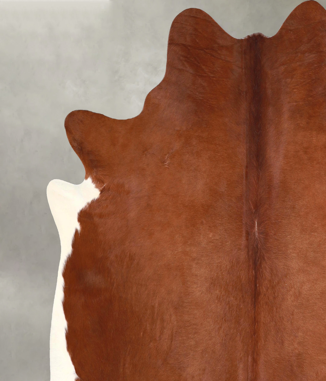 Solid Brown X-Large Brazilian Cowhide Rug 7'1"H x 6'8"W #A49006 by Hud