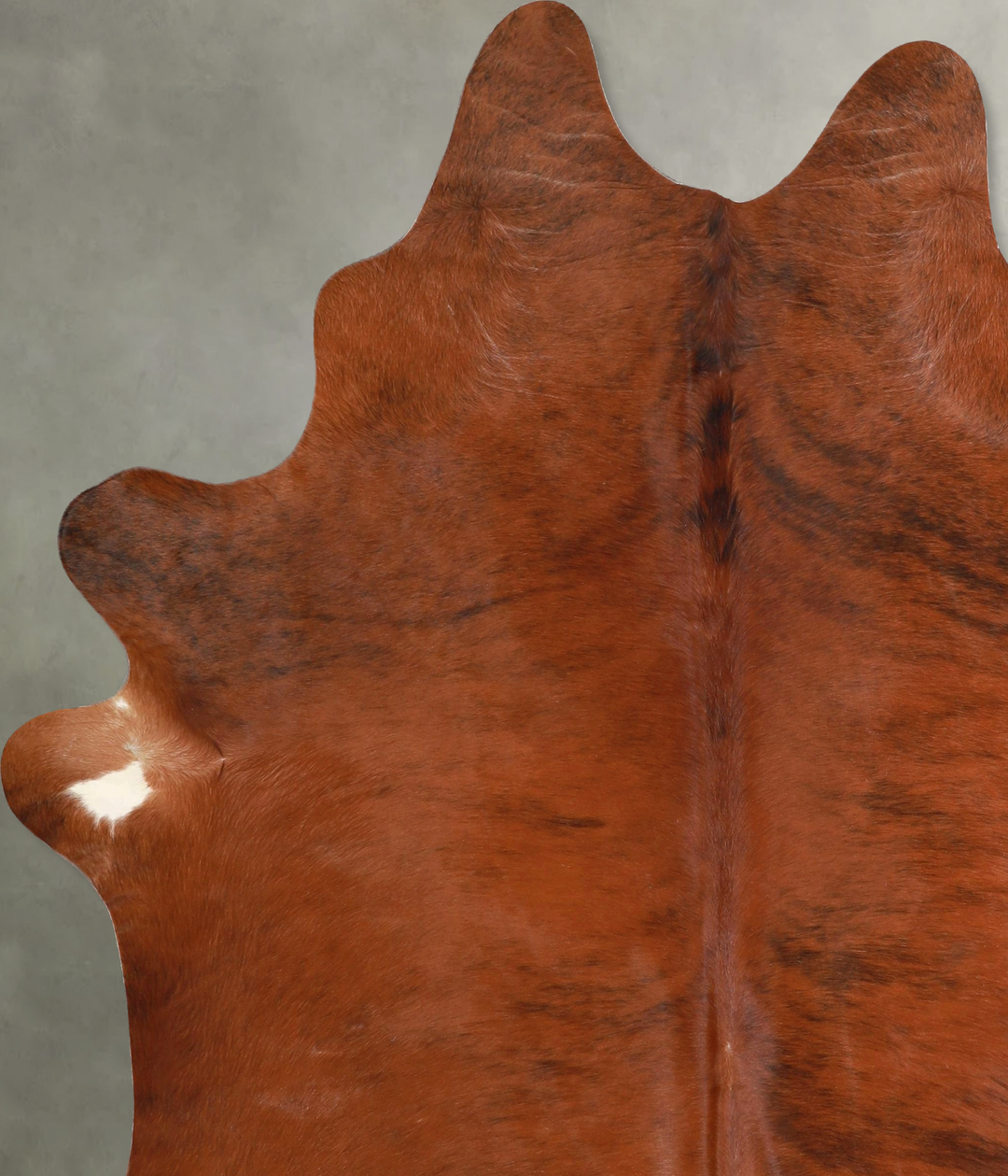 Medium Brindle X-Large Brazilian Cowhide Rug 7'6"H x 6'4"W #A49008 by 