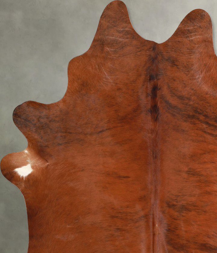 Medium Brindle X-Large Brazilian Cowhide Rug 7'6"H x 6'4"W #A49008 by Hudson Hides