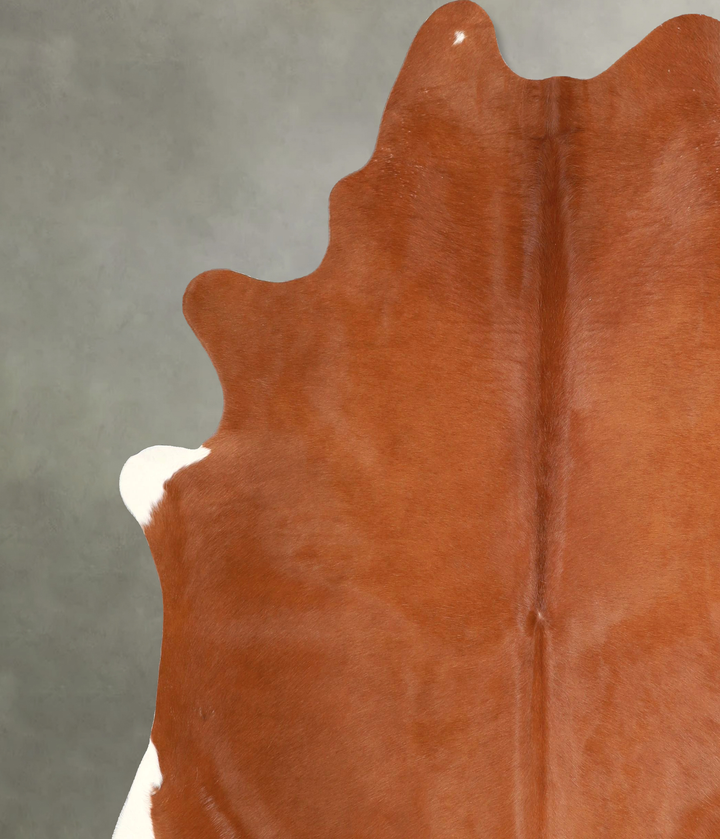 Solid Brown X-Large Brazilian Cowhide Rug 7'2"H x 6'6"W #A49012 by Hudson Hides