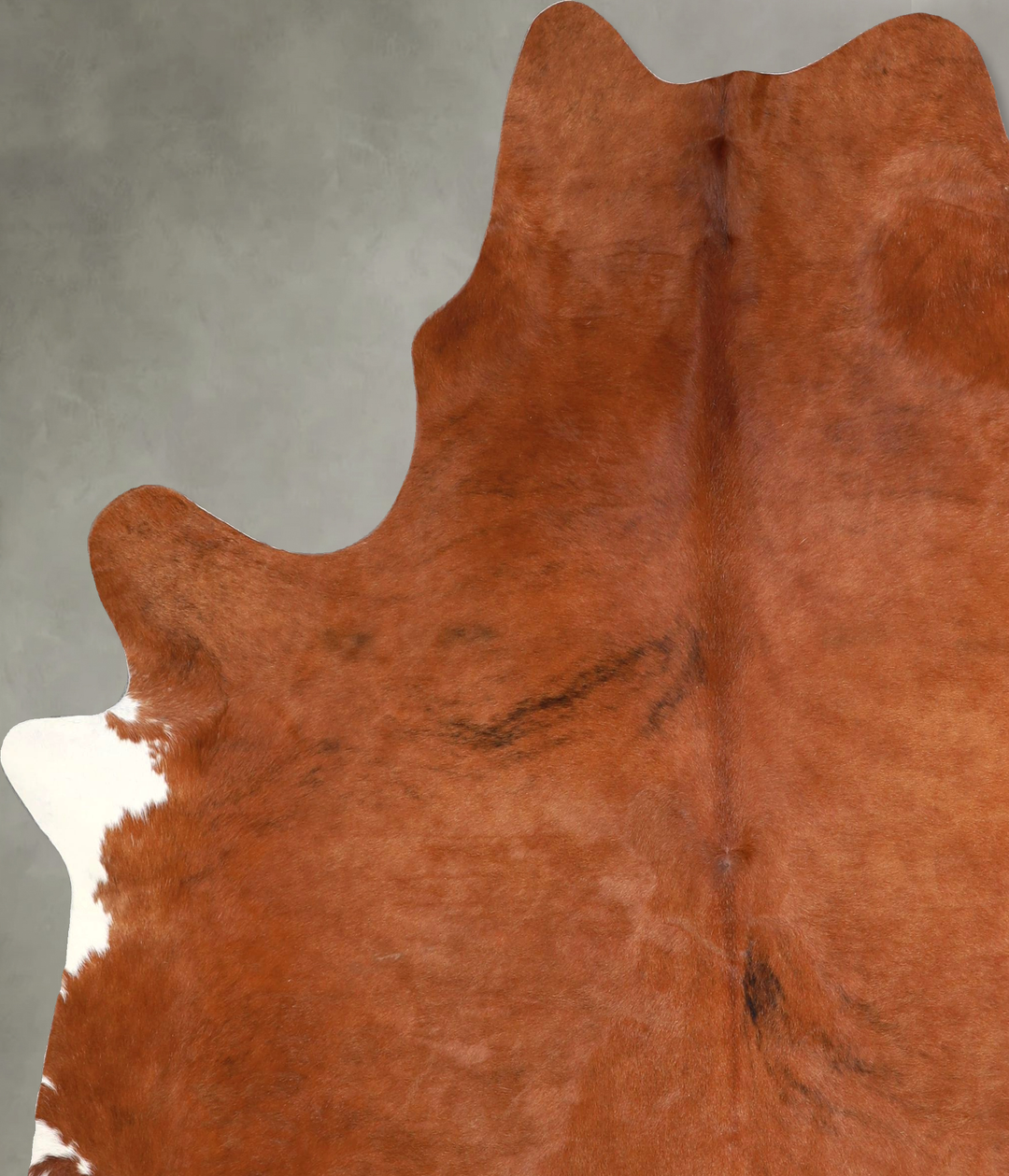 Medium Brindle X-Large Brazilian Cowhide Rug 7'0"H x 6'3"W #A49018 by 