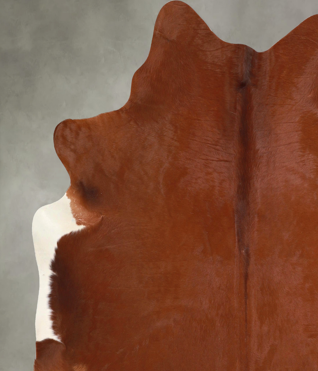 Solid Brown XX-Large Brazilian Cowhide Rug 7'6"H x 6'9"W #A49021 by Hu