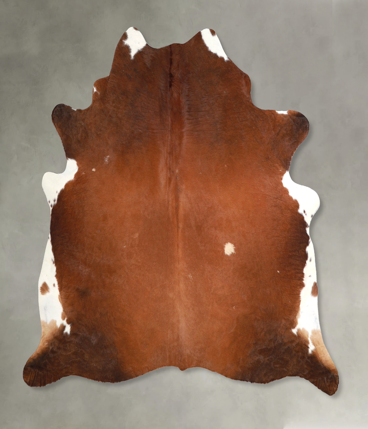Brown and White Regular X-Large Brazilian Cowhide Rug 6'9"H x 6'6"W #A49023 by Hudson Hides