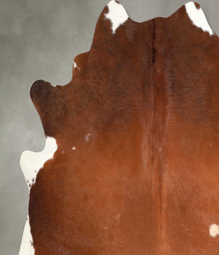 Brown and White Regular X-Large Brazilian Cowhide Rug 6'9"H x 6'6"W #A49023 by Hudson Hides