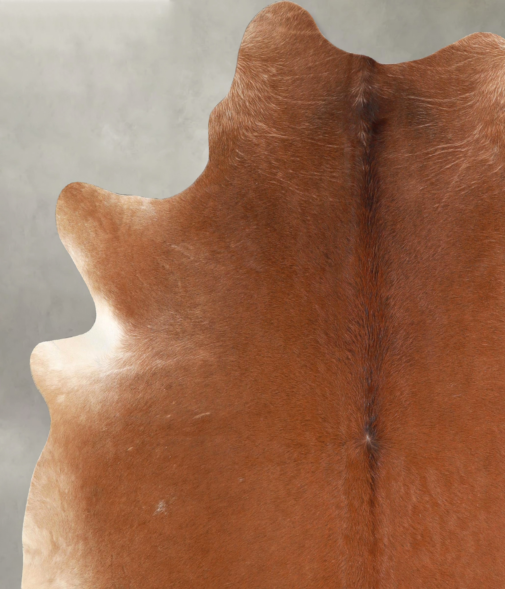 Solid Brown Cowhide Rug #A49024