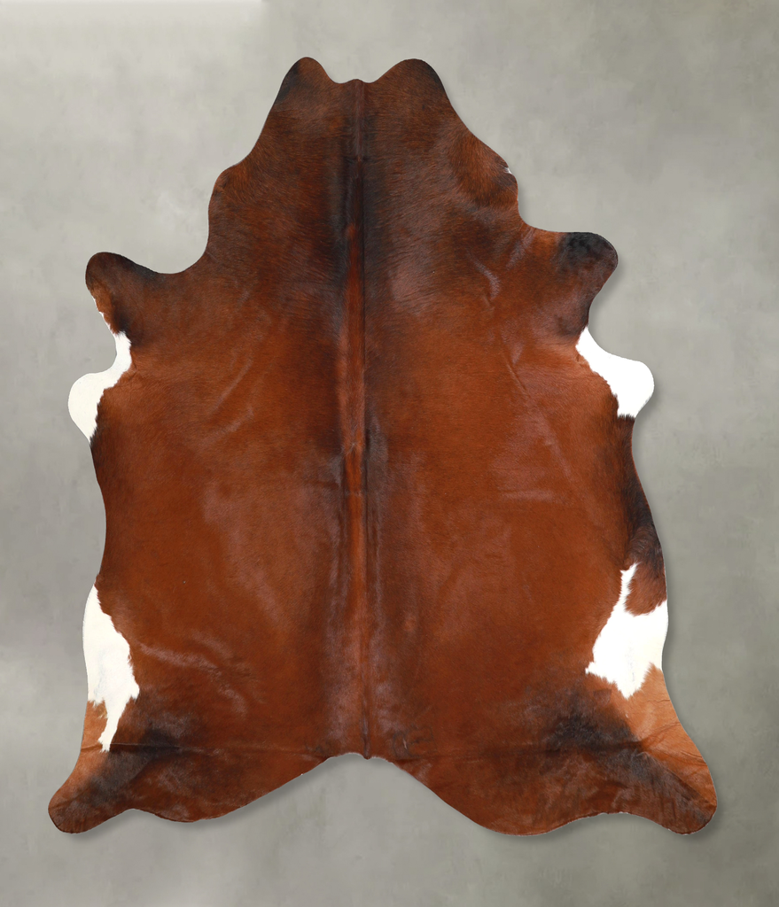 Warm Caramel X-Large Brazilian Cowhide Rug 6'9"H x 6'5"W #A49026 by Hudson Hides