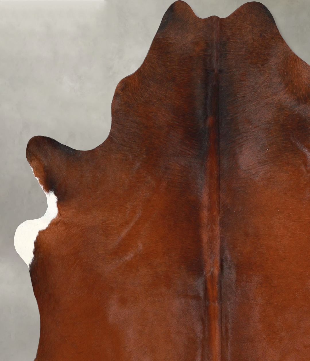 Warm Caramel X-Large Brazilian Cowhide Rug 6'9"H x 6'5"W #A49026 by Hu