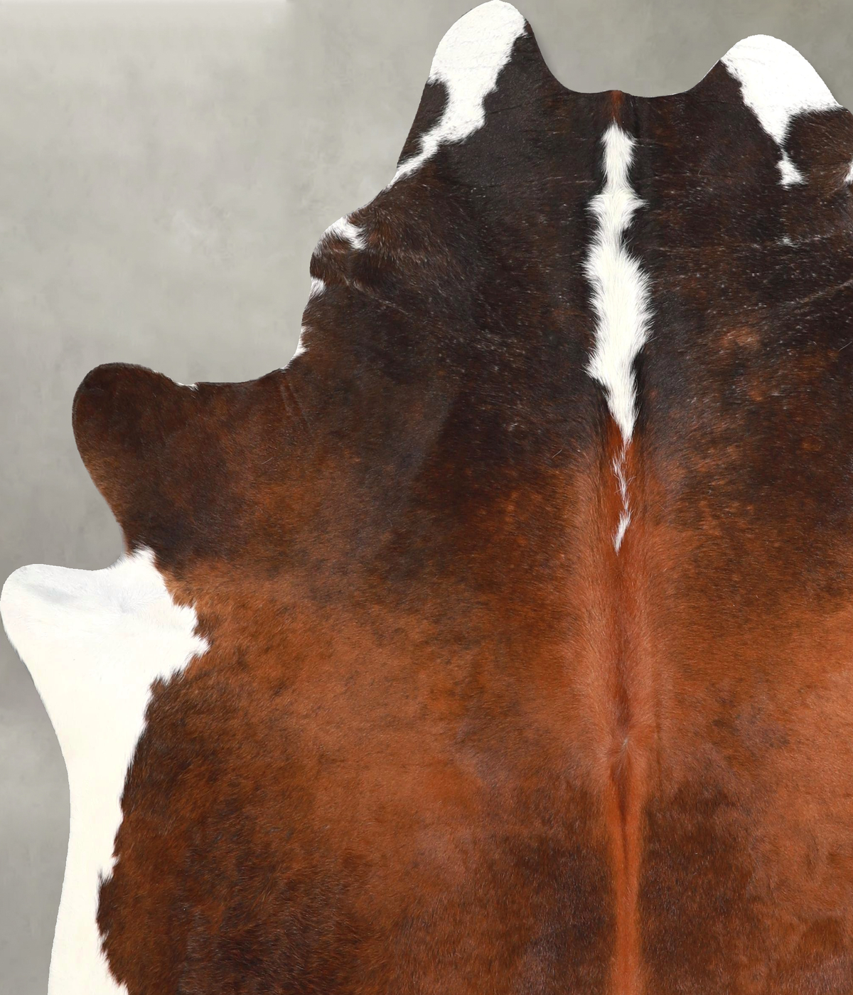Chocolate and White X-Large Brazilian Cowhide Rug 6'8"H x 6'3"W #A49027 by Hudson Hides