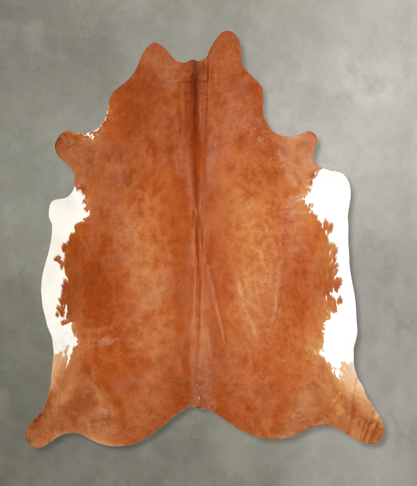 Brown and White Regular Cowhide Rug #A49030