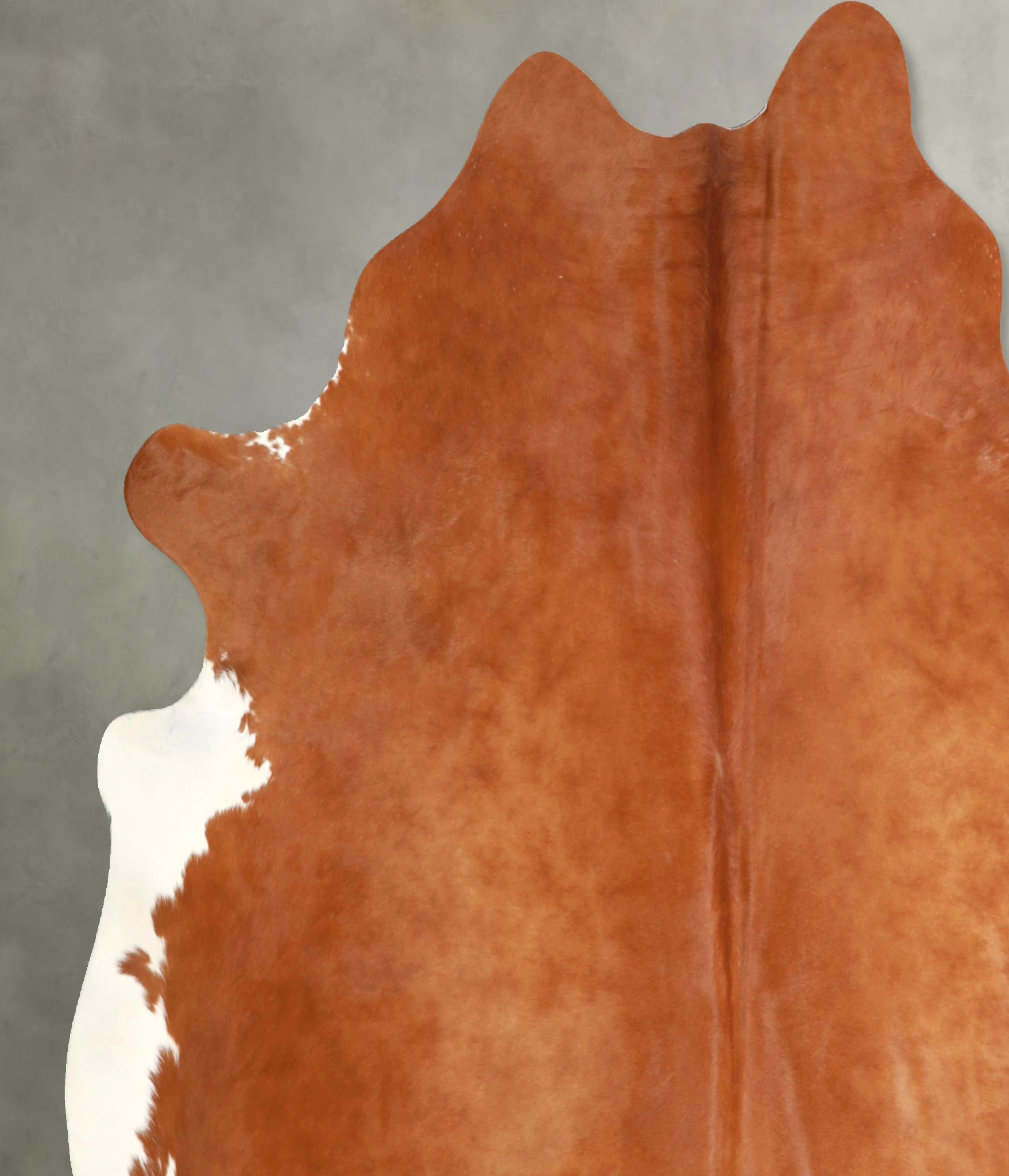 Brown and White Regular Cowhide Rug #A49030