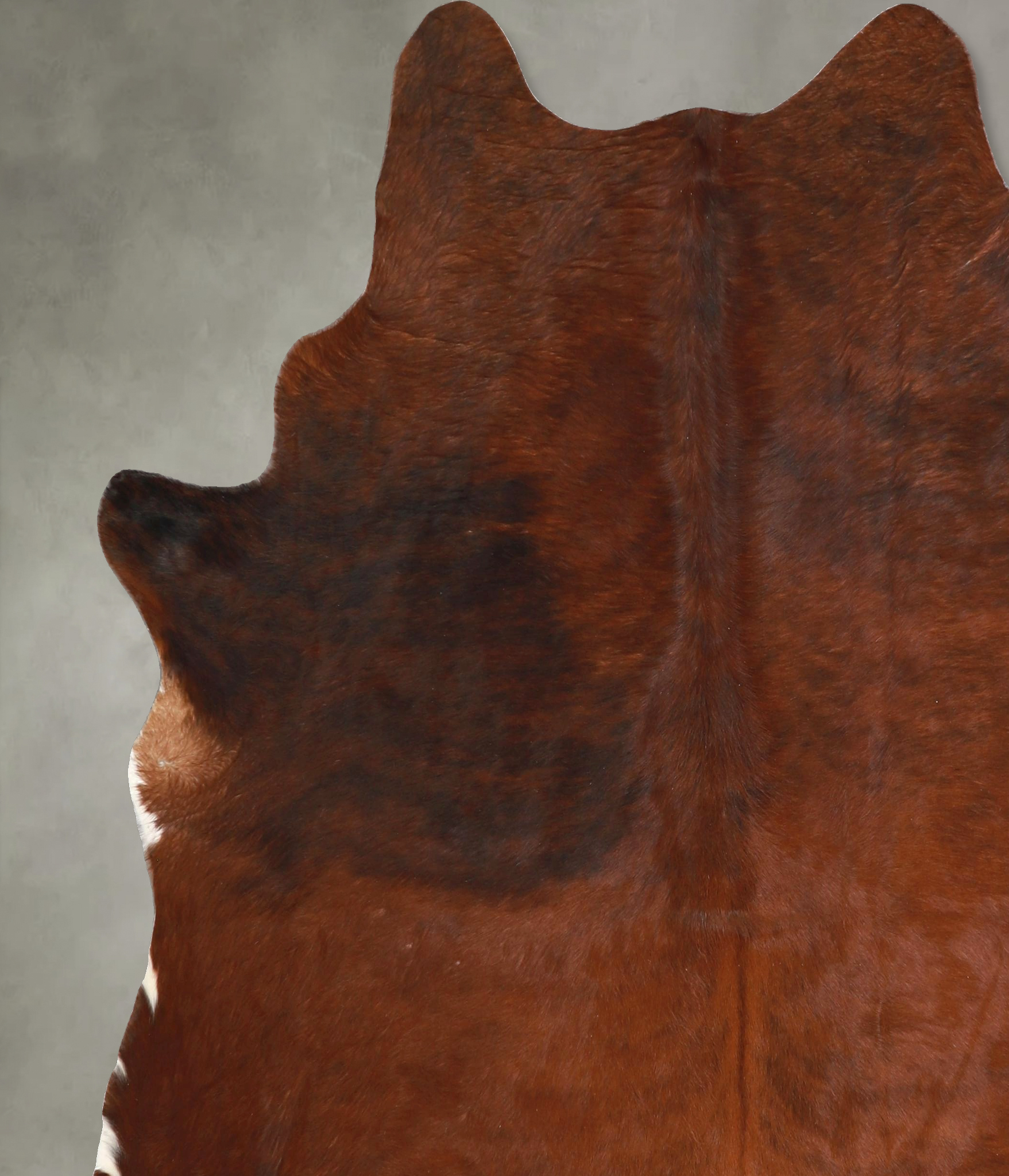 Medium Brindle Cowhide Rug #A49035