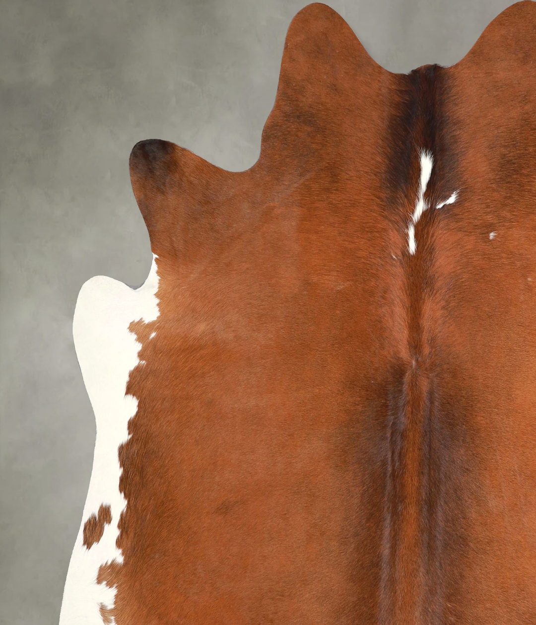 Chocolate and White X-Large Brazilian Cowhide Rug 6'11"H x 6'10"W #A49