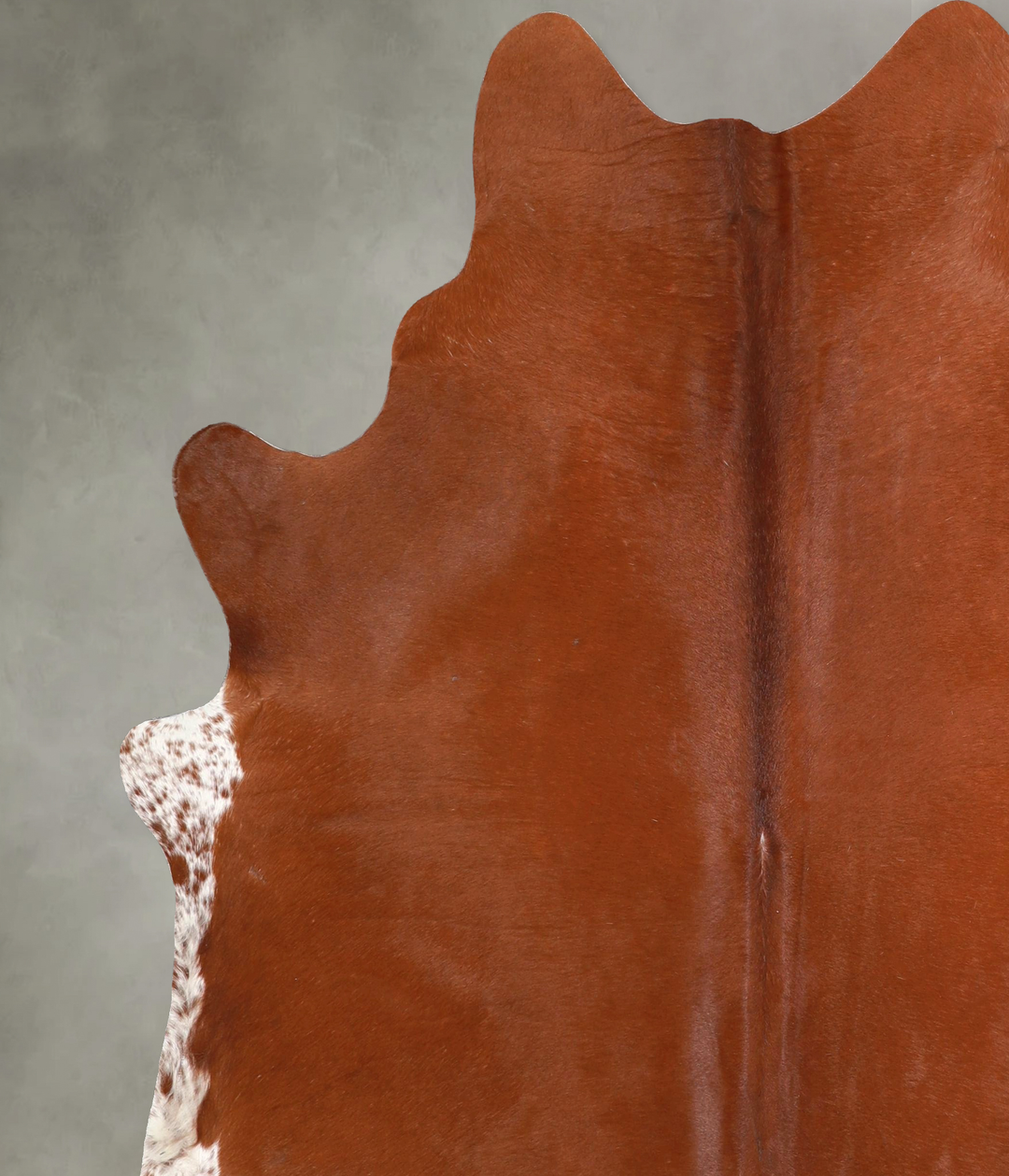 Solid Brown X-Large Brazilian Cowhide Rug 7'1"H x 6'5"W #A49046 by Hud