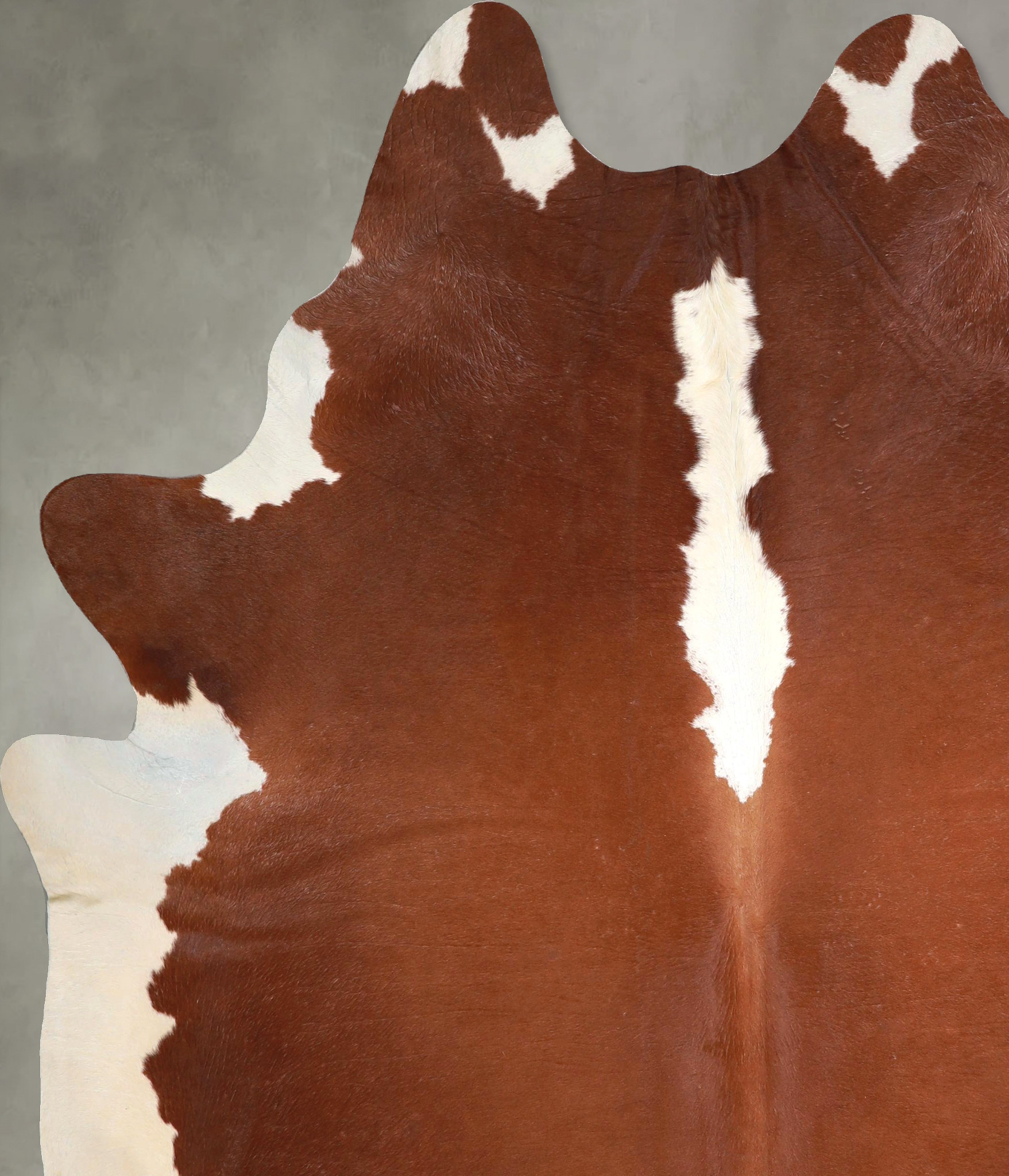 Hereford Cowhide Rug #A49049
