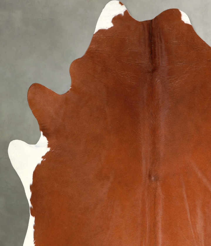 Solid Brown XX-Large Brazilian Cowhide Rug 7'7"H x 6'8"W #A49059 by Hudson Hides