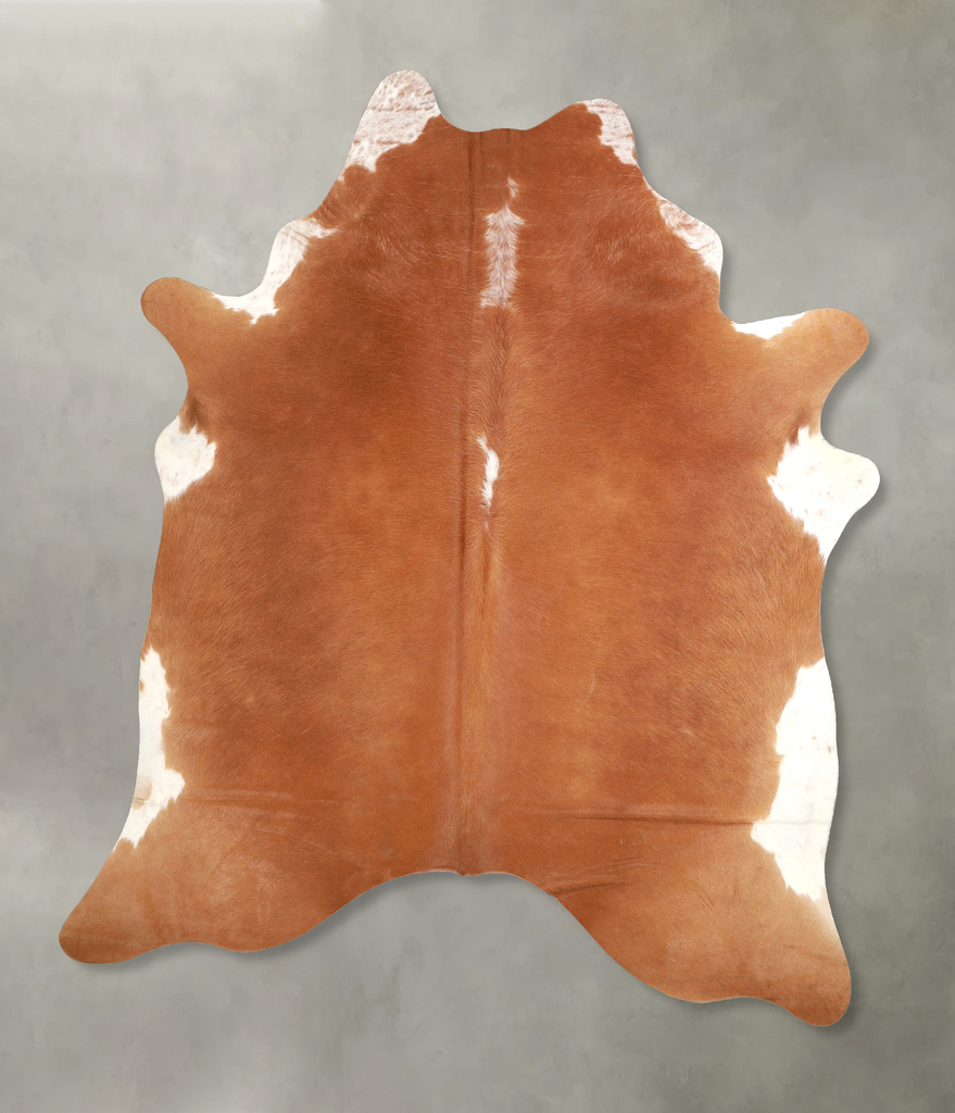 Brown and White Regular X-Large Brazilian Cowhide Rug 7'3"H x 6'3"W #A49060 by Hudson Hides