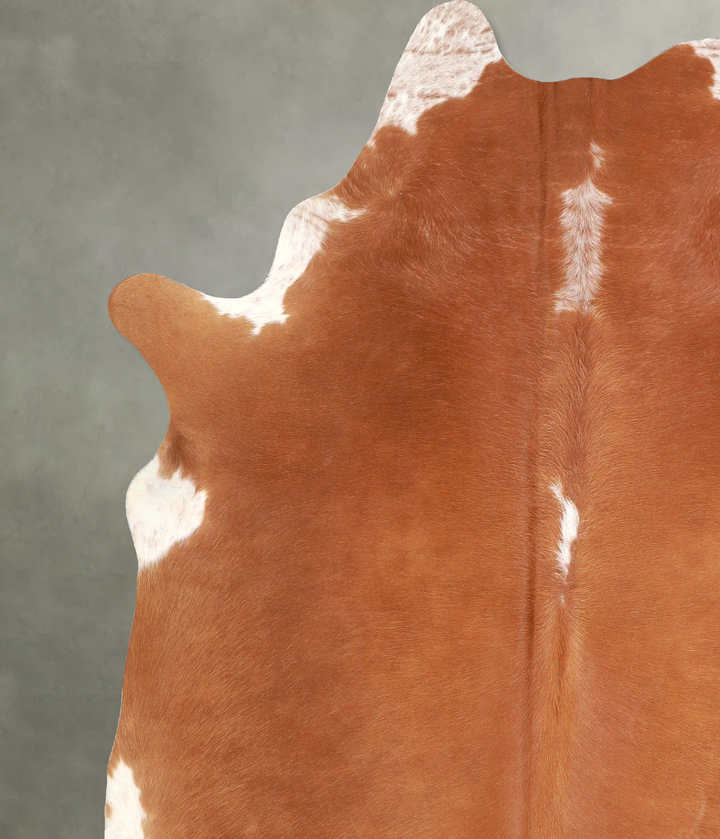 Brown and White Regular X-Large Brazilian Cowhide Rug 7'3"H x 6'3"W #A49060 by Hudson Hides