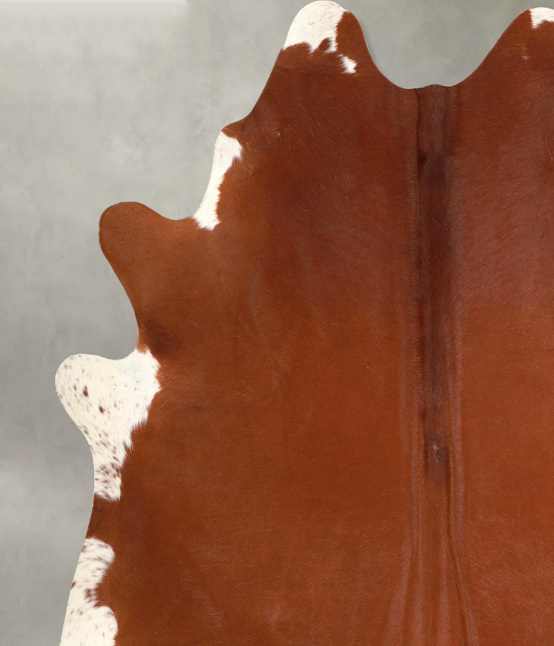 Solid Brown X-Large Brazilian Cowhide Rug 7'0"H x 6'6"W #A49061 by Hud