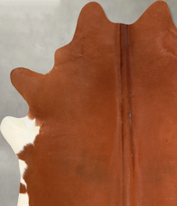 Solid Brown X-Large Brazilian Cowhide Rug 7'0"H x 6'5"W #A49062 by Hudson Hides