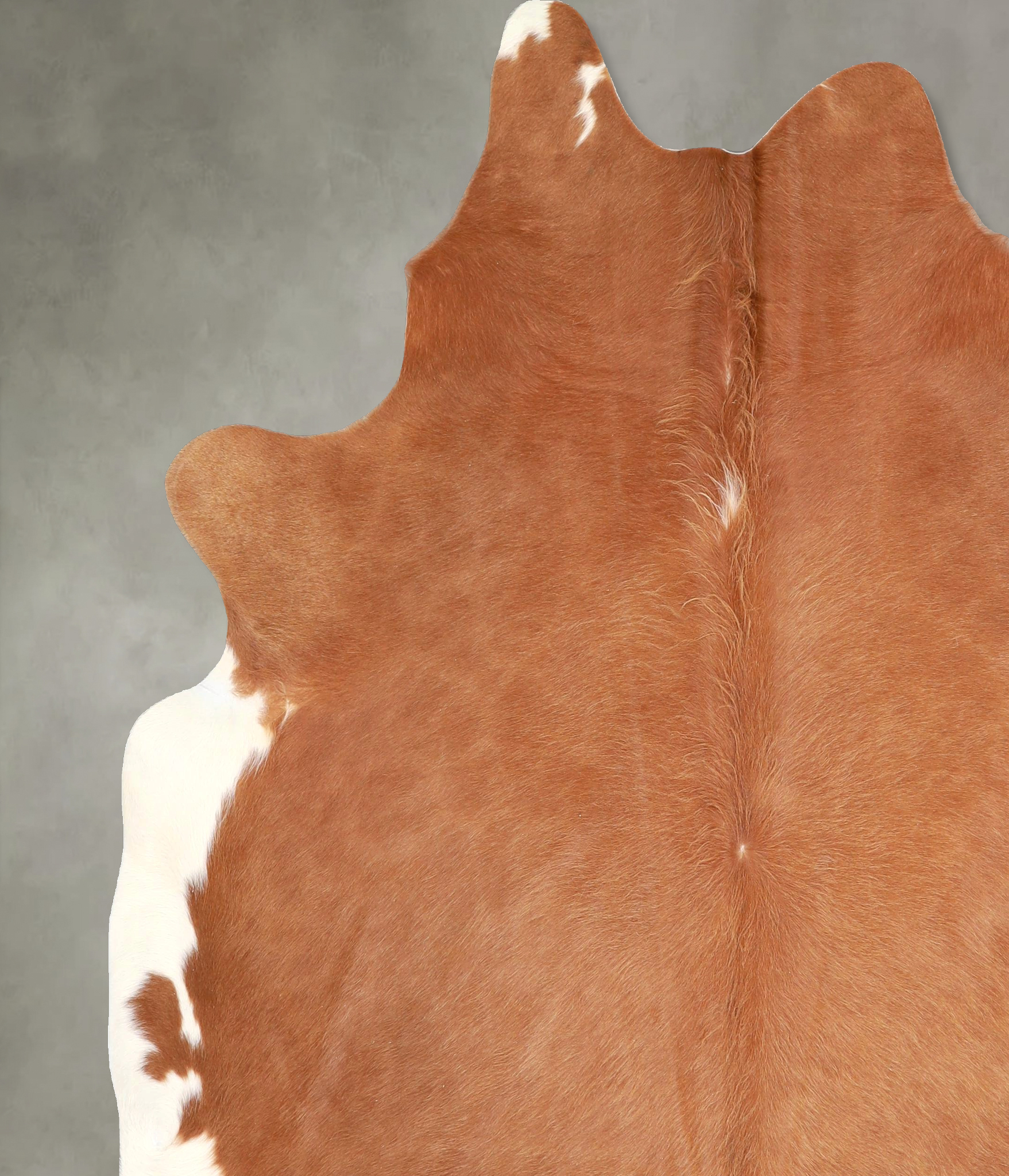 Solid Brown Cowhide Rug #A49068